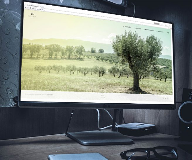 Amichia Mobil Uyumlu Web Sitesi Tasarımı